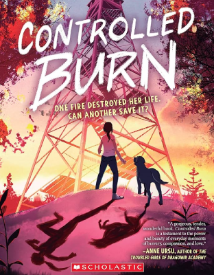 Controlled burn by Downing, Erin Soderberg